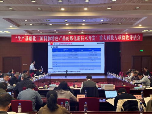 滿足汽油新標準的關鍵技術開發(fā)與應用項目順利通過驗收
