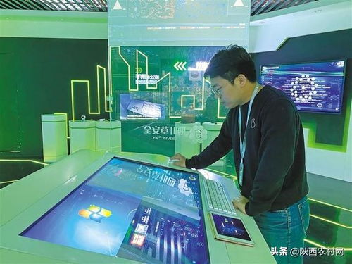 走近高新技術企業四葉草安全 構筑網絡防線，賦能企業技術服務新生態