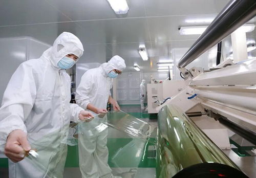 力達科技 以技改創新驅動企業服務，鑄就發展新引擎